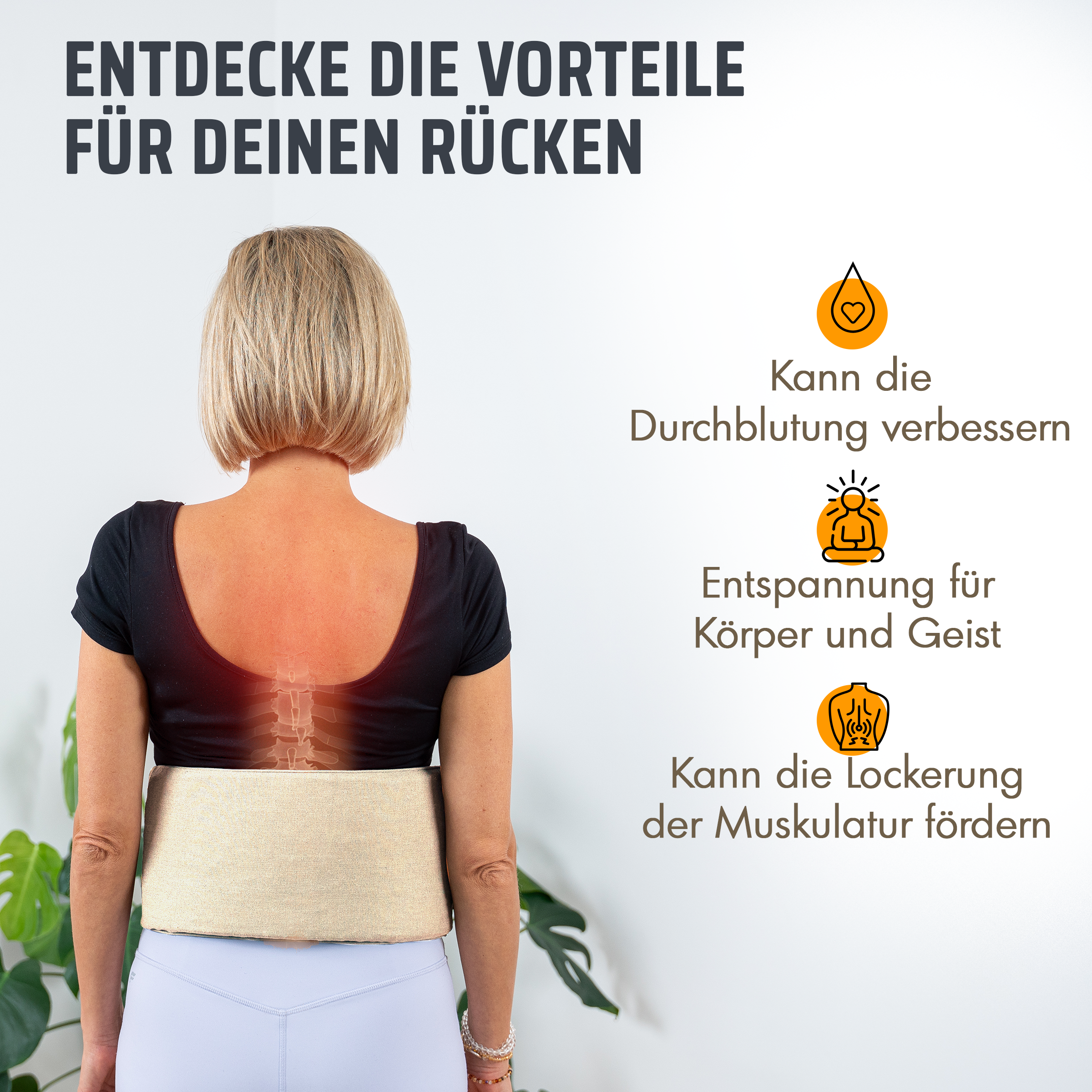 Acupressure Allround Set with free lumbar belt & exercises
