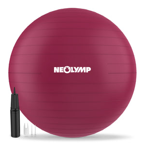 Gymnastikball - für aktives Sitzen, Recovery und Physio - Berry - Sportgerät von NEOLYMP | Fitnessequipment und Sportartikel