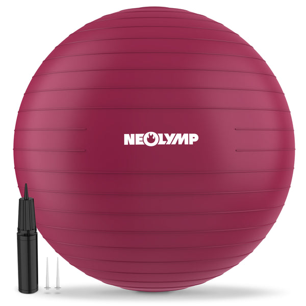 Gymnastics Ball - for active sitting, recovery, and physiotherapy