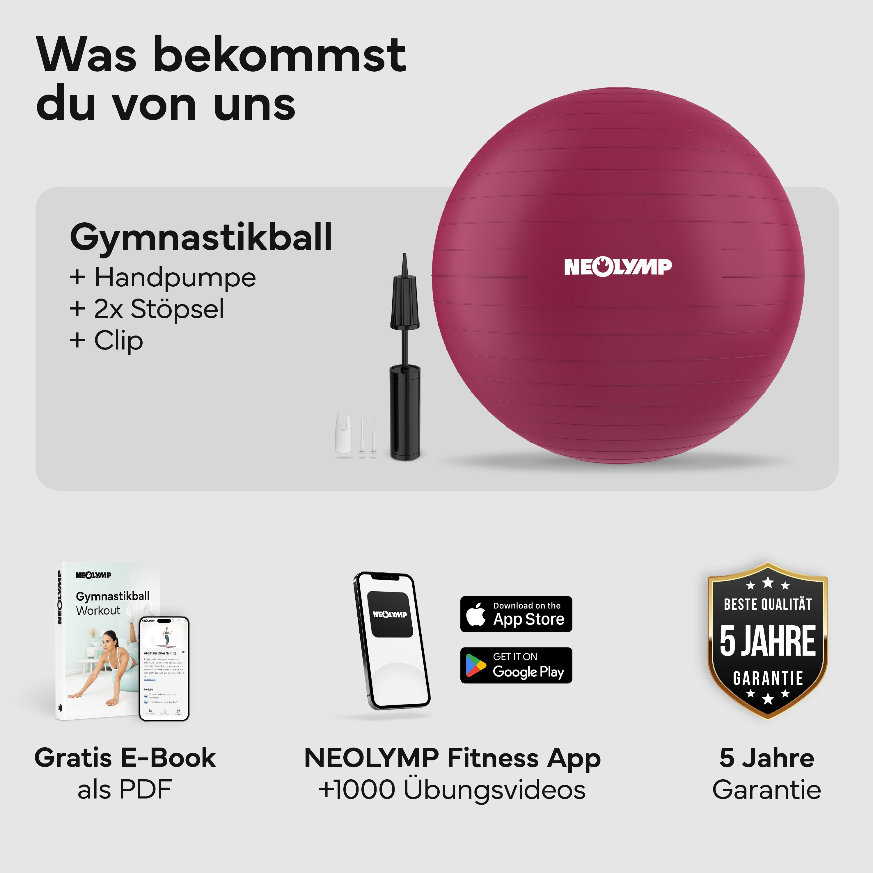 Gymnastikball - für aktives Sitzen, Recovery und Physio - Berry - Sportgerät von NEOLYMP | Fitnessequipment und Sportartikel