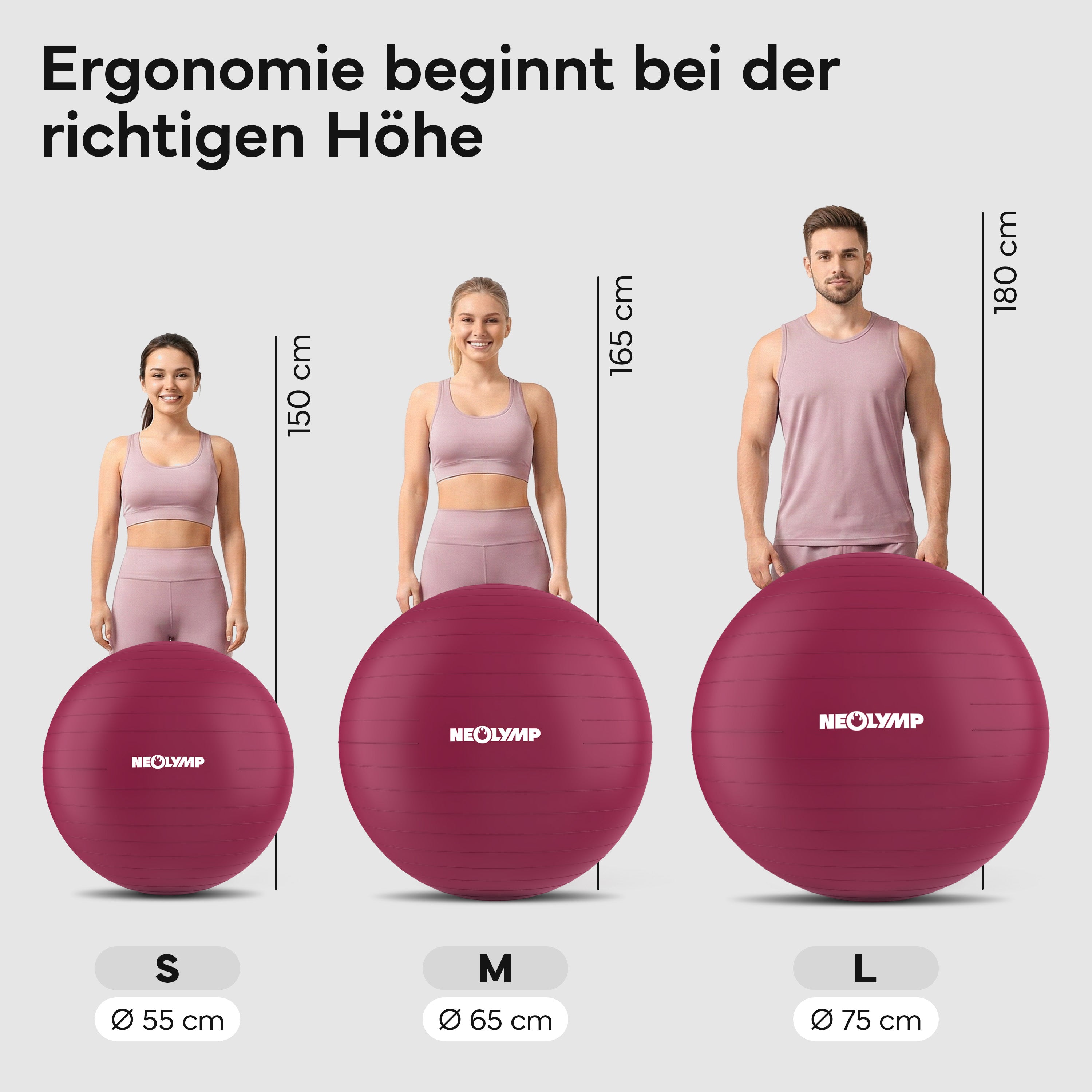 Gymnastikball - für aktives Sitzen, Recovery und Physio - Berry - Sportgerät von NEOLYMP | Fitnessequipment und Sportartikel