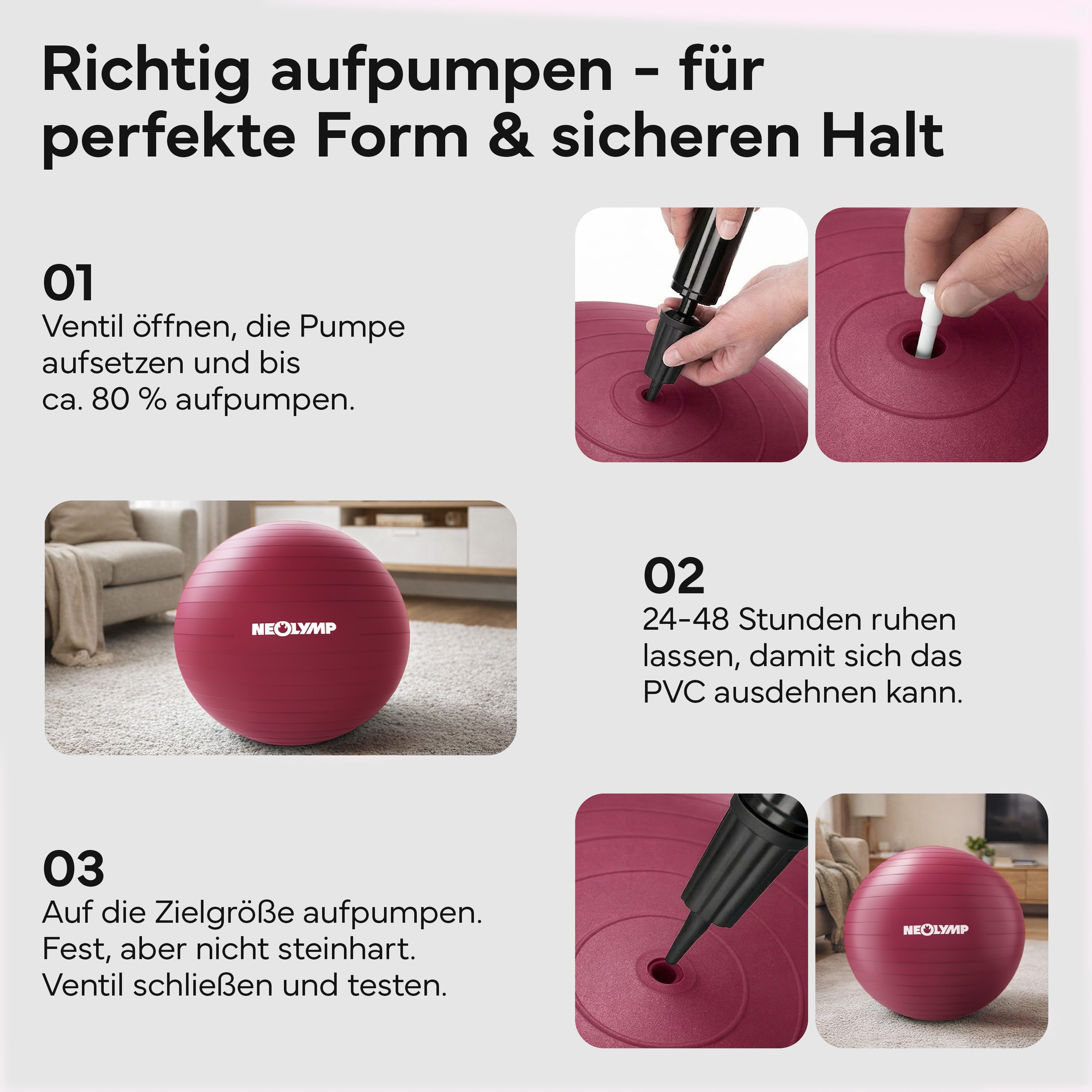 Gymnastikball - für aktives Sitzen, Recovery und Physio - Berry - Sportgerät von NEOLYMP | Fitnessequipment und Sportartikel