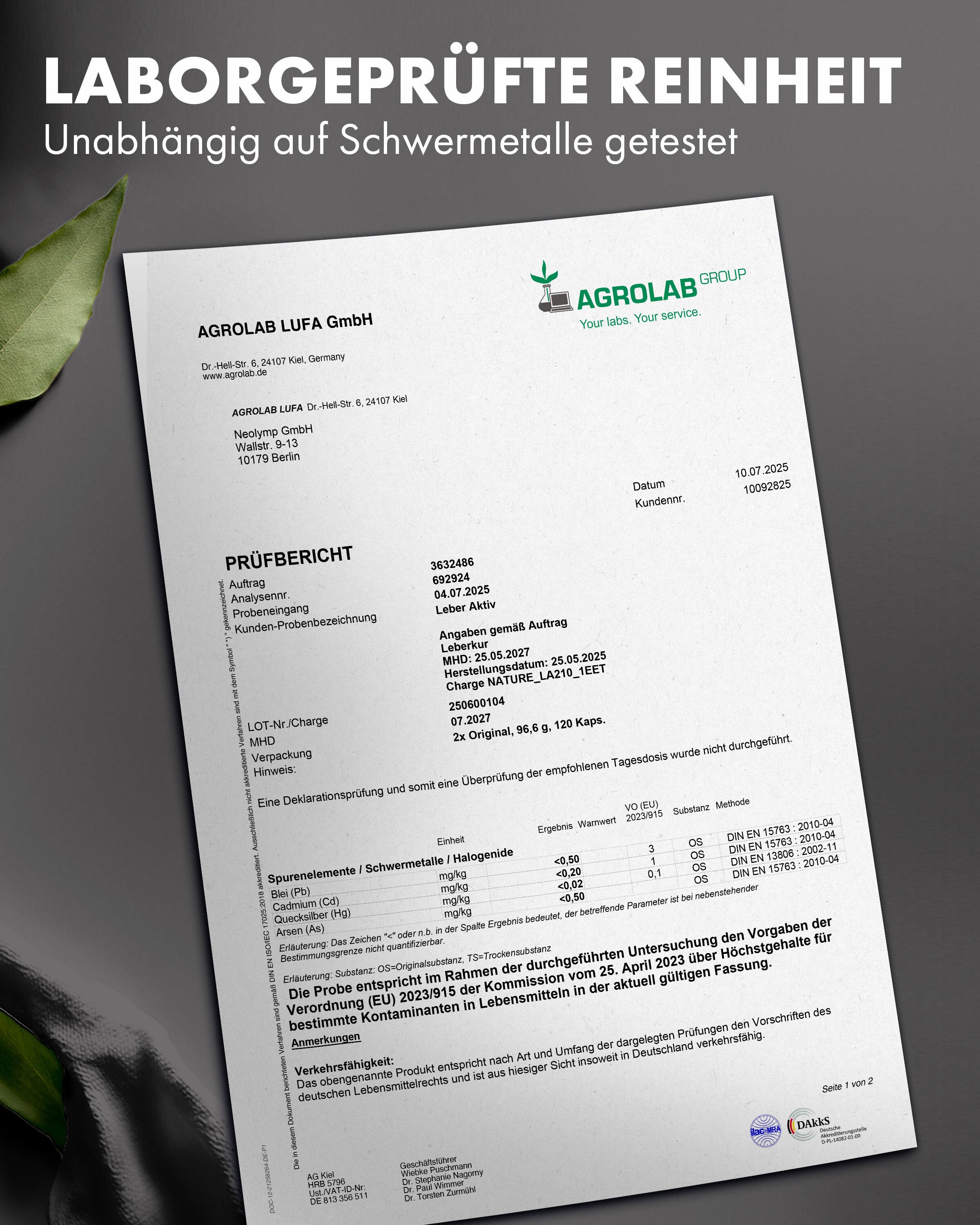 Nature Elegance - Leber Aktiv (Mariendistel Artischocke Löwenzahn Komplex)