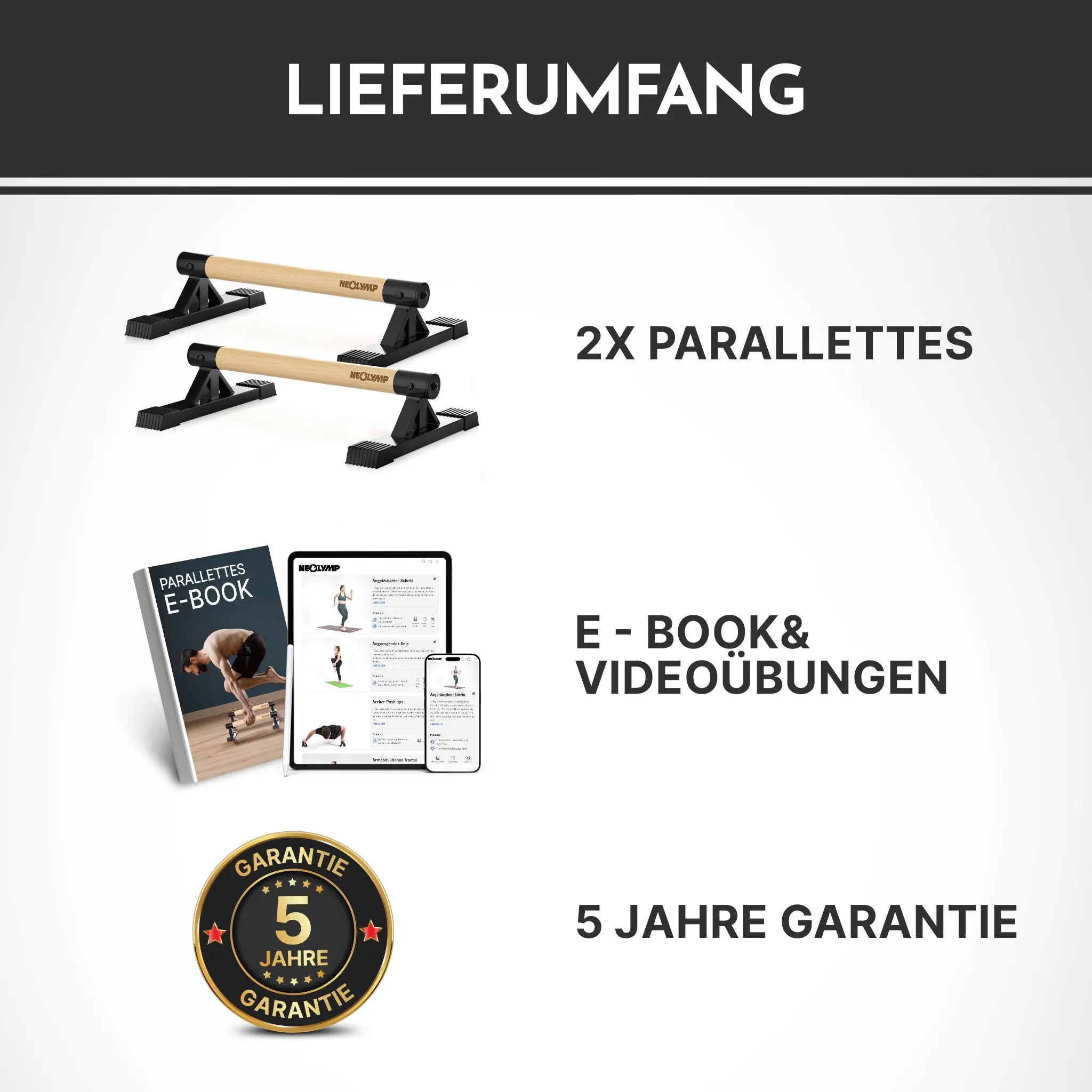 Parallettes rutschfest für Fitness & Calisthenics